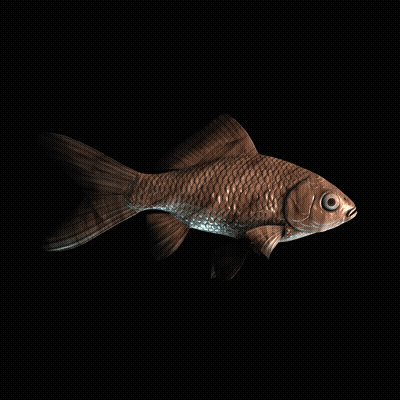 CryptoFish #4272