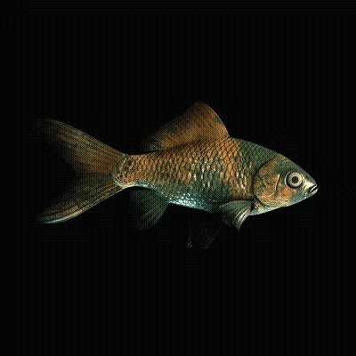 CryptoFish #2702