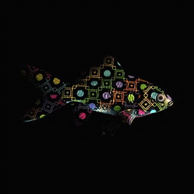 Cryptofish Io