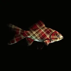 CryptoFish #173