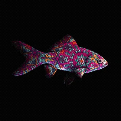CryptoFish #5555