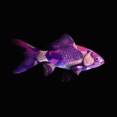 Cryptofish Io