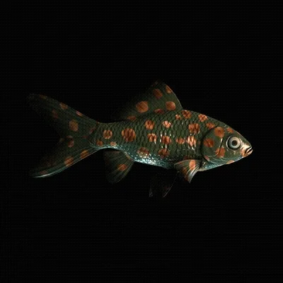 Cryptofish Io