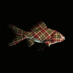 CryptoFish #1084