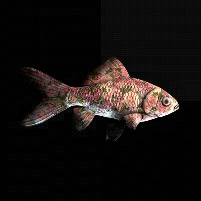 Cryptofish Io