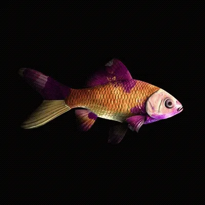 Cryptofish Io