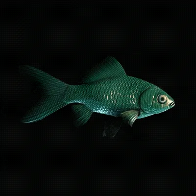 CryptoFish #4890