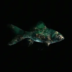 CryptoFish #3289