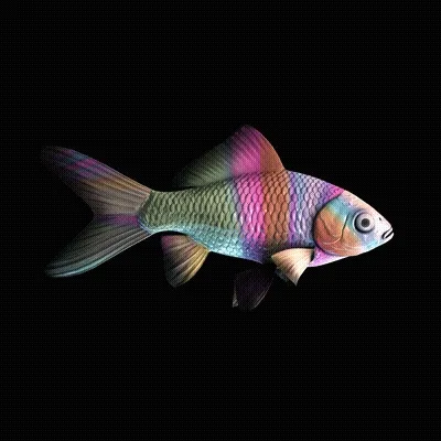 Cryptofish Io