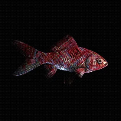Cryptofish Io