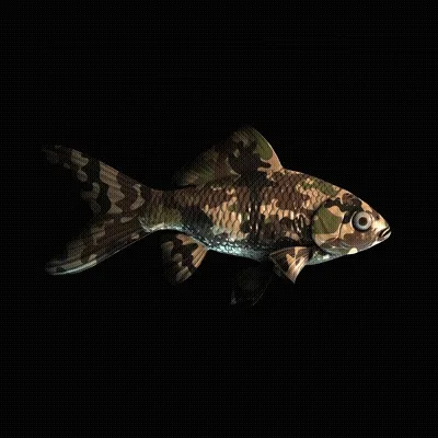 CryptoFish #2609