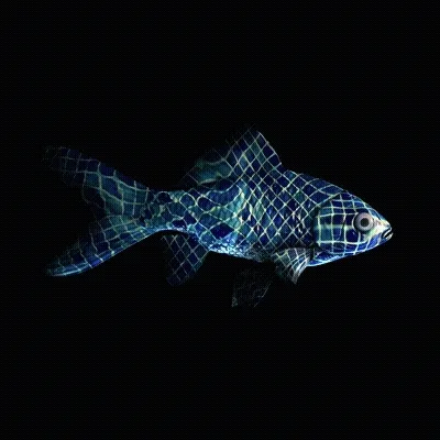 CryptoFish #3580