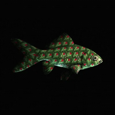 Cryptofish Io