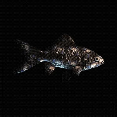 Cryptofish Io