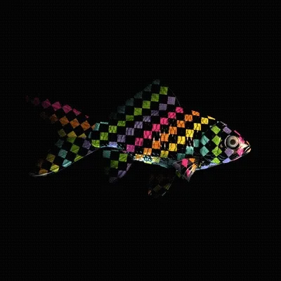 Cryptofish Io