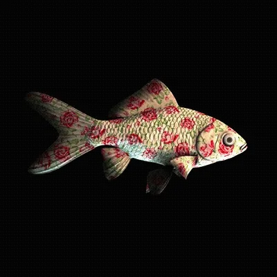 Cryptofish Io