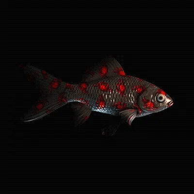 Cryptofish Io