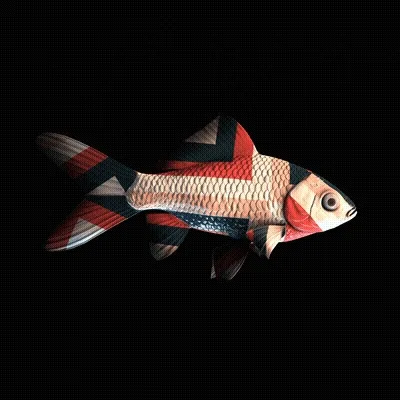 Cryptofish Io