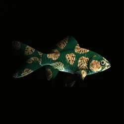 CryptoFish #878