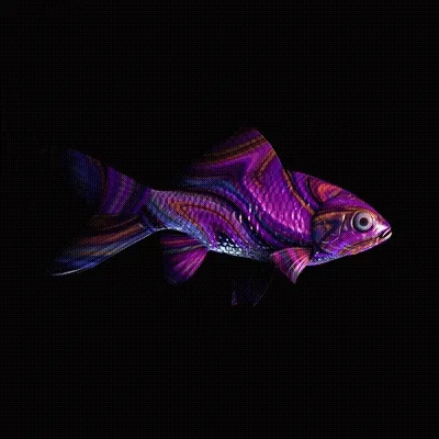 Cryptofish Io