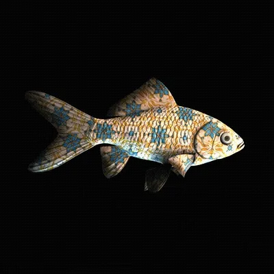 Cryptofish Io