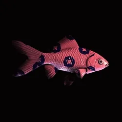 CryptoFish #1453