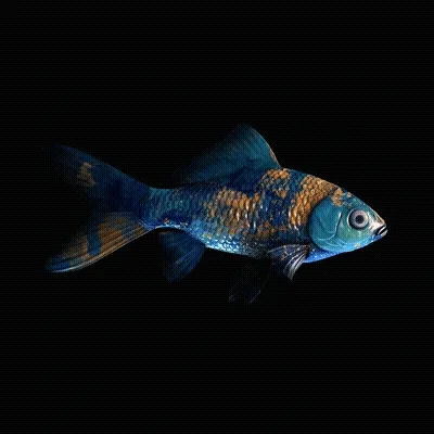 CryptoFish #2825