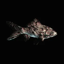 CryptoFish #1256