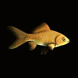CryptoFish #1228