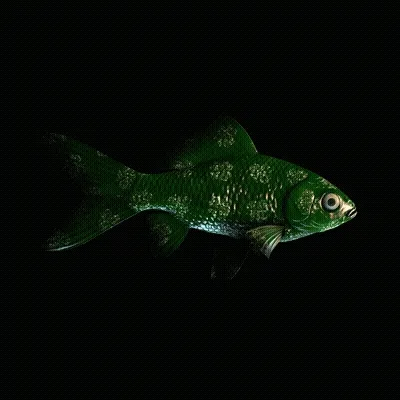 CryptoFish #2576