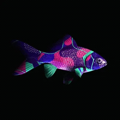 CryptoFish #3037