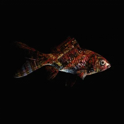 Cryptofish Io