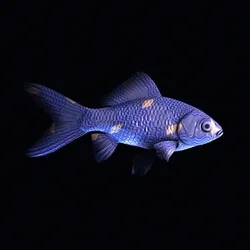CryptoFish #5903