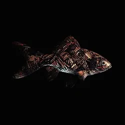 CryptoFish #6286