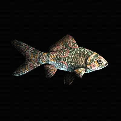 Cryptofish Io