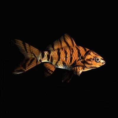 CryptoFish #3012