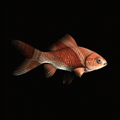 CryptoFish #2816
