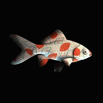 Cryptofish Io