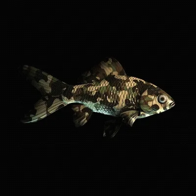 CryptoFish #3346