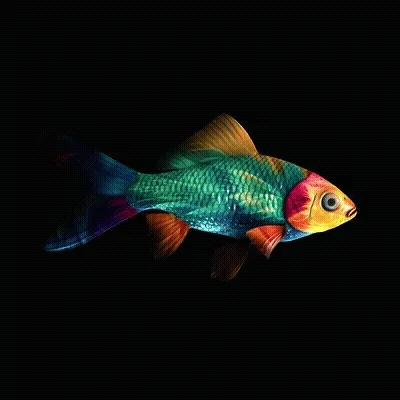 CryptoFish #2823