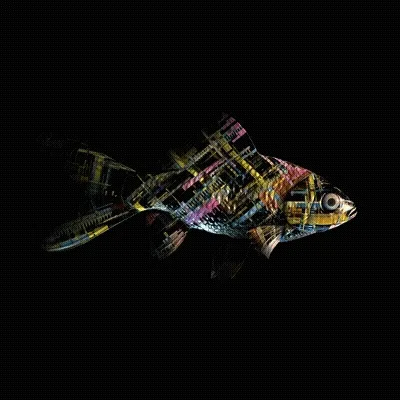 Cryptofish Io
