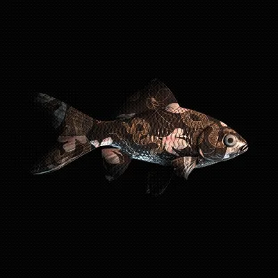 CryptoFish #2510