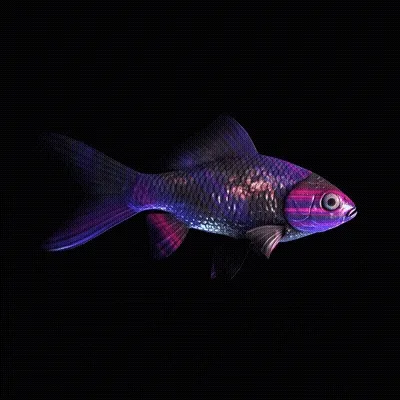 CryptoFish #3018