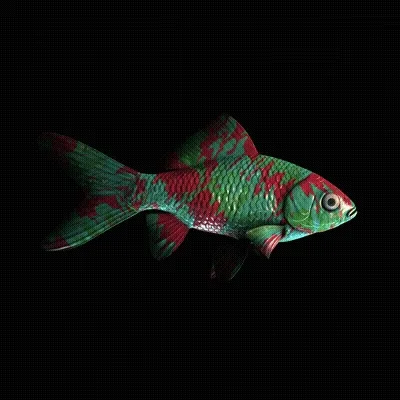 Cryptofish Io