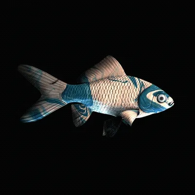 Cryptofish Io
