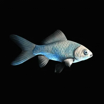 Cryptofish Io