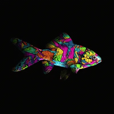 Cryptofish Io