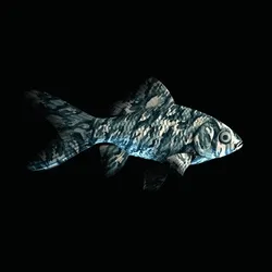 CryptoFish #1608