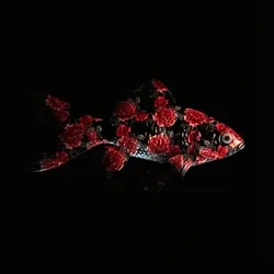 CryptoFish #2081