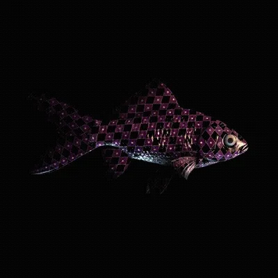 Cryptofish Io